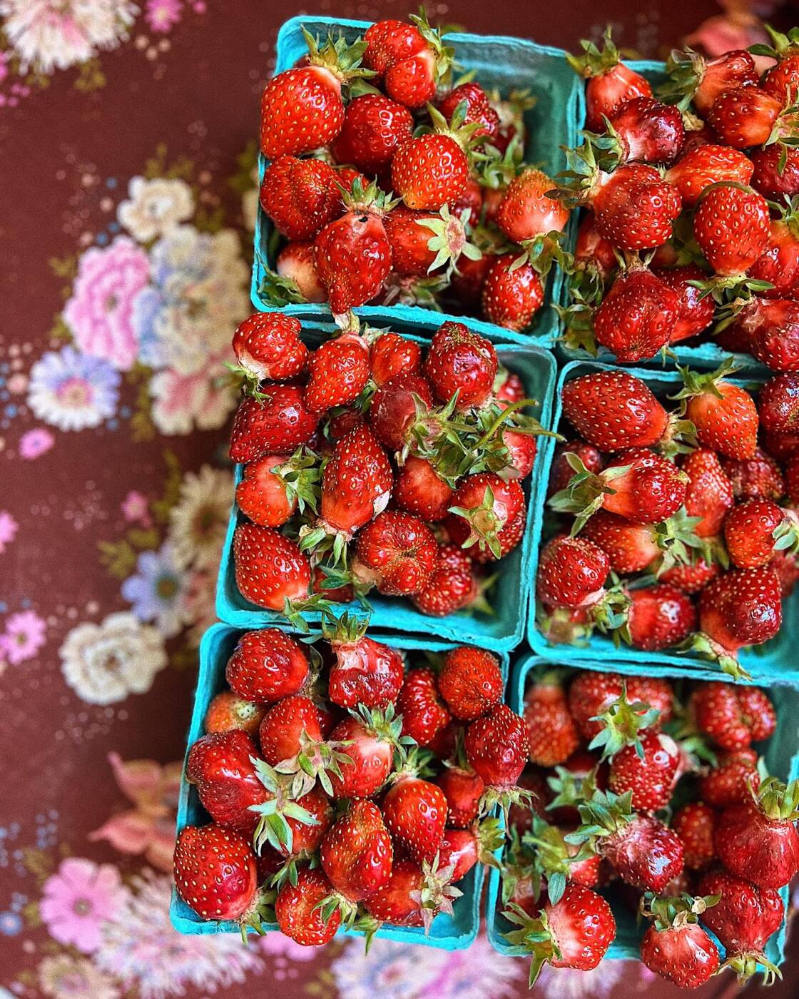 home of the strawberry museum | zuckercreme | home of the